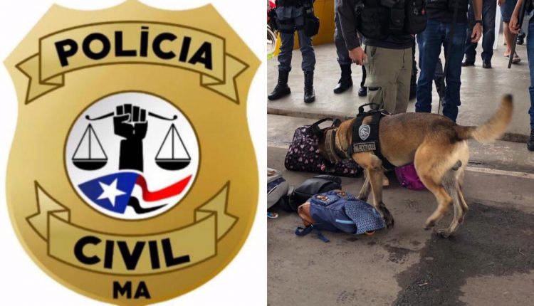 AÇÕES DA SENARC CONTRA A CRIMINALIDADE NO PERÍODO DO CARNAVAL MARANHENSE
