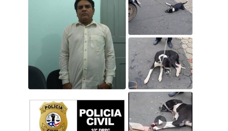 POLICIA CIVIL PRENDE AUTOR DE MAIS TRATOS A ANIMAL EM IMPERATRIZ