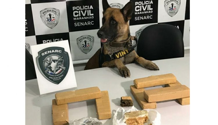 POLÍCIA CIVIL APREENDE DROGAS COM AJUDA DE CÃO FAREJADOR