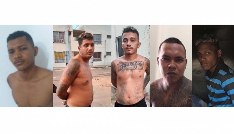 POLÍCIA CIVIL DEFLAGRA OPERAÇÃO RAIZ PRENDE 5 PESSOAS E CUMPRE 6 MANDADOS DE BUSCA E APREENSÃO