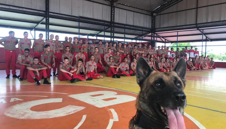 POLÍCIA CIVIL REALIZA TRABALHO PREVENTIVO AO USO DE DROGAS