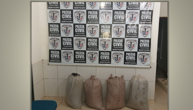 POLÍCIA CIVIL DEFLAGRA OPERAÇÃO E PRENDE EM FLAGRANTE TRAFICANTE QUE TRANSPORTAVA 40KG DE DROGA EM BURITICUPU/MA