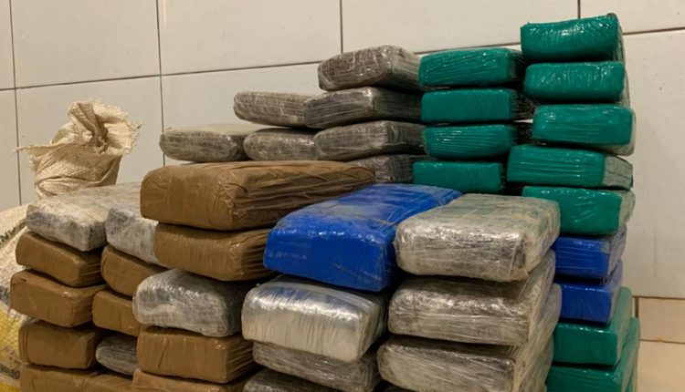 POLÍCIA CIVIL DEFLAGRA OPERAÇÃO E APREENDE 80 QUILOS DE MACONHA ALÉM DE ARMAS NA RESERVA DO GURUPI