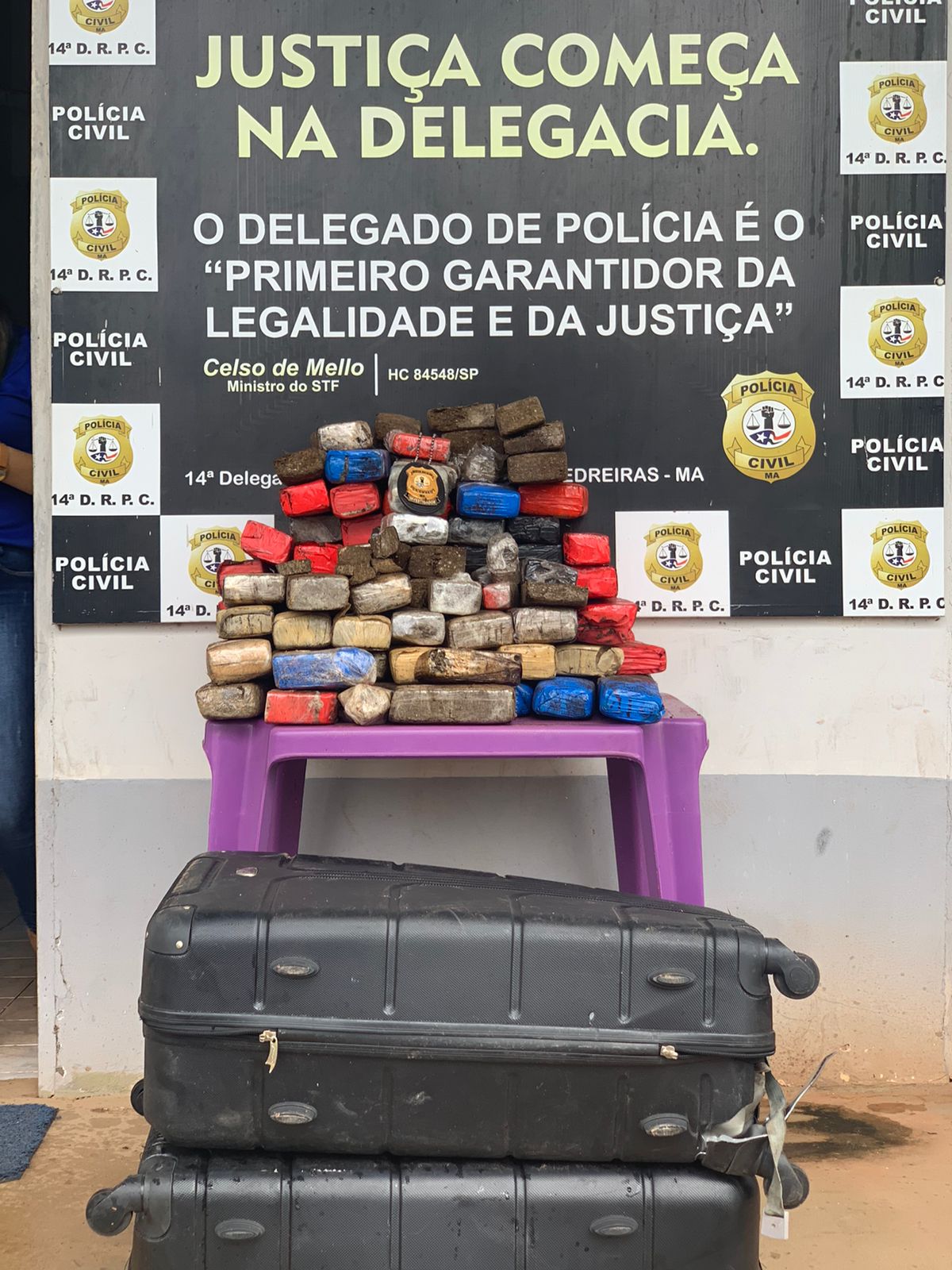 CERCA DE 200 MIL REAIS EM MACONHA SÃO APREENDIDOS PELA POLÍCIA CIVIL EM TRIZIDELA DO VALE