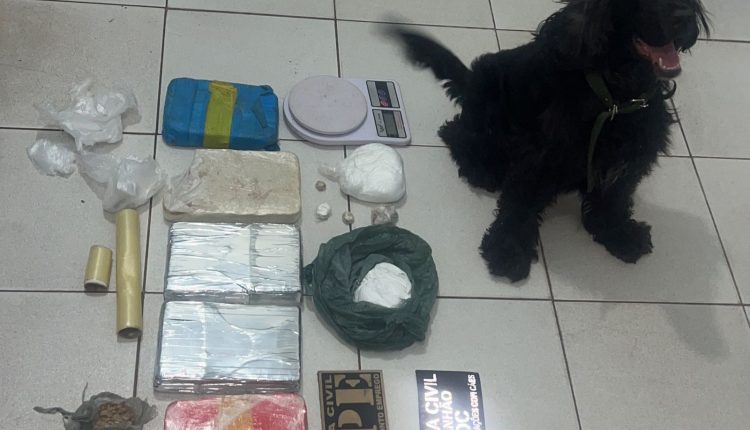 OPERAÇÃO DAVI:QUATRO PESSOAS SÃO PRESAS POR TRÁFICO DE DROGAS EM CODÓ