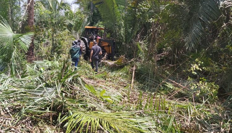 FORÇAS DE SEGURANÇA DO MARANHÃO REALIZAM OPERAÇÃO CONTRA DESMATAMENTO ILEGAL EM ÁREA DE CONFLITO AGRÁRIO NA ZONA RURAL DE ALTO ALEGRE DO MARANHÃO