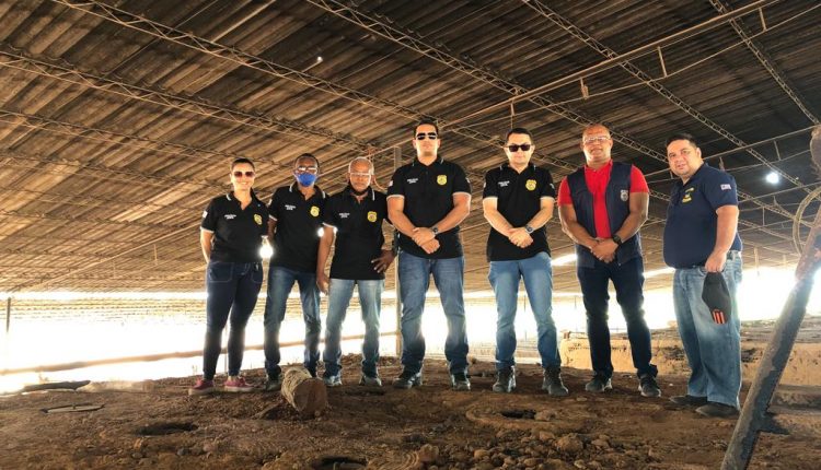 POLÍCIA CIVIL INCINERA 12 QUILOS DE DROGAS APREENDIDAS PELA DELEGACIA DO ADOLESCENTE INFRATOR DE SÃO LUÍS