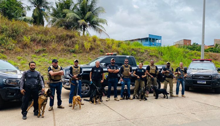 DURANTE SIMPÓSIO, POLICIAIS CIVIS COM AUXÍLIO DE CÃES FAREJADORES, LOCALIZAM DROGAS EM REGIÃO PRÓXIMA A RODOVIÁRIA DE SÃO LUÍS