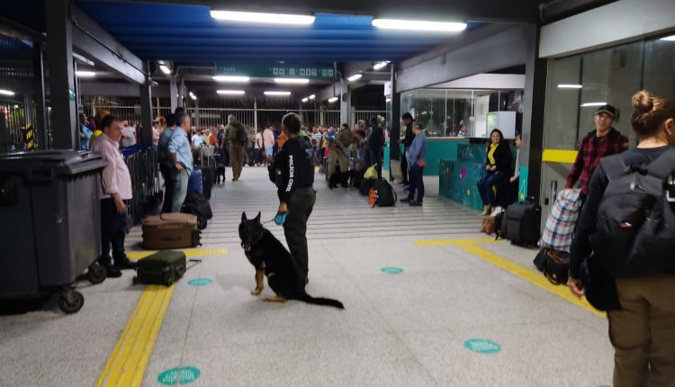 EM SÃO LUÍS, TERMINAL FERROVIÁRIO E COMPLEXO PENITENCIÁRIO DE PEDRINHAS SÃO ALVOS DE ATIVIDADES OSTENSIVAS DA POLÍCIA CIVIL DE REPRESSÃO AO TRÁFICO DE DROGAS