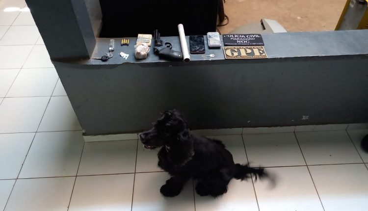 POR TRÁFICO E ASSOCIAÇÃO PARA O TRÁFICO DE DROGAS, 07 PESSOAS SÃO PRESAS PELA POLÍCIA CIVIL EM CODÓ