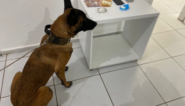 POLÍCIA CIVIL DEFLAGRA  “OPERAÇÃO SALUTAR” DE REPRESSÃO A ORGANIZAÇÃO CRIMINOSA NA CAPITAL MARANHENSE; UMA PESSOA FOI PRESA