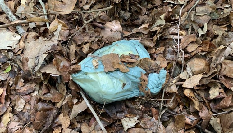 HOMEM QUE ASSALTOU CASAL COM USO DE UM FACÃO É PRESO PELA POLÍCIA CIVIL, EM BARREIRINHAS