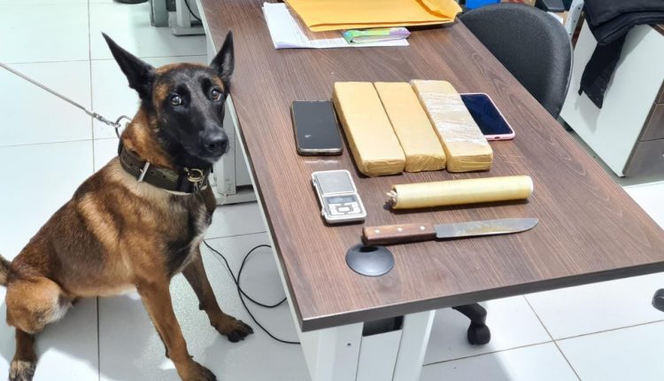 NOVE PESSOAS SÃO PRESAS PELA POLÍCIA CIVIL POR ADMINISTRAR ESQUEMA DE TRÁFICO DE DROGAS NA REGIÃO DA BAIXADA MARANHENSE