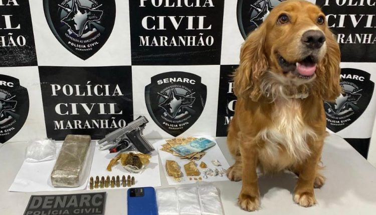 OPERAÇÃO DA POLÍCIA CIVIL PRENDE UMA PESSOA E APREENDE DROGAS E ARMA DE FOGO EM TIMON