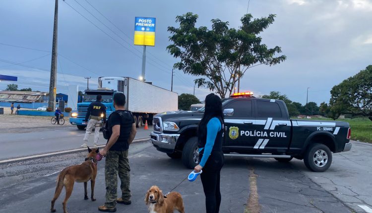 OPERAÇÃO DA POLÍCIA CIVIL UTILIZA CÃES FAREJADORES PARA LOCALIZAR DROGAS E ARMAS DE FOGO NA BR-135