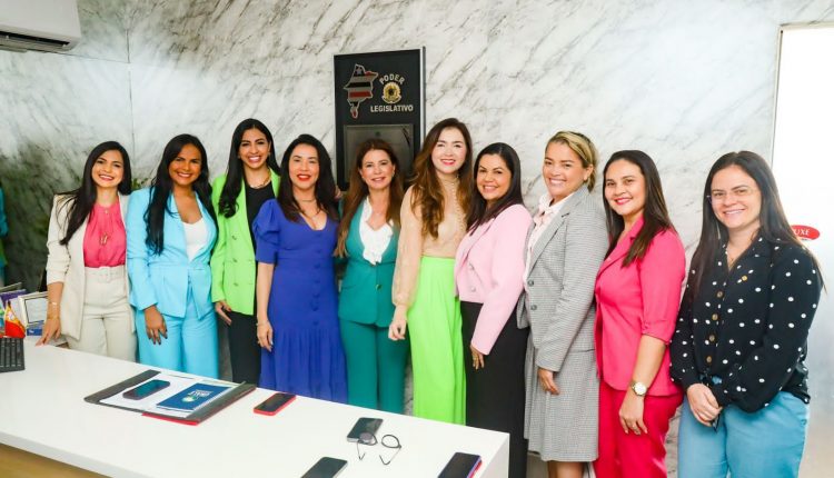 POLÍCIA CIVIL PARTICIPA DE REUNIÃO COM BANCADA FEMININA DA ASSEMBLEIA LEGISLATIVA DO MARANHÃO