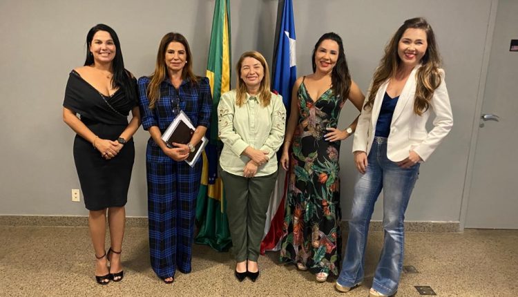 EM REUNIÃO COM A PRESIDENTE DA ASSEMBLEIA LEGISLATIVA DO MARANHÃO, POLÍCIA CIVIL APRESENTA PROJETO DE CRIAÇÃO DE NÚCLEOS DE ATENDIMENTO À MULHER VÍTIMA DE VIOLÊNCIA EM CIDADES DO INTERIOR DO ESTADO