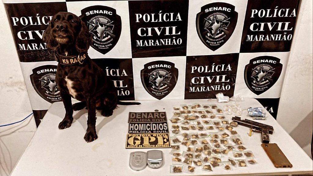 DENÚNCIAS LEVAM A POLÍCIA CIVIL A PRENDER DUPLA POR TRÁFICO DE DROGAS EM TIMON