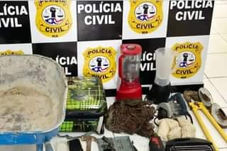 POLÍCIA CIVIL PRENDE CASAL POR CRIME DE FURTO EM SANTA LUZIA DO PARUÁ