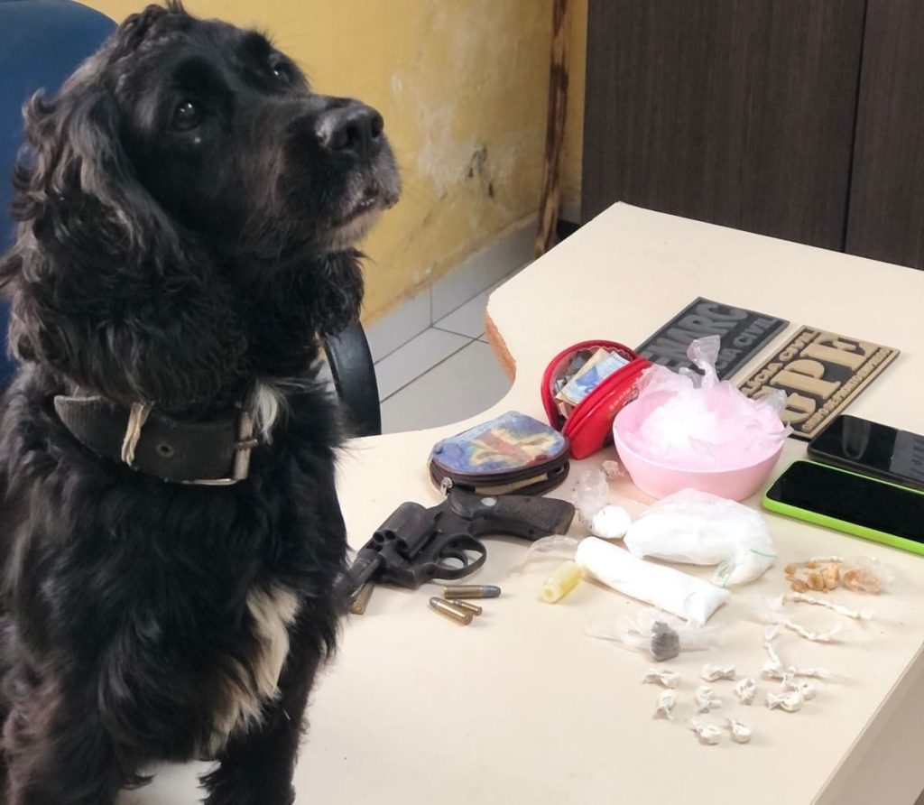 NA ZONA RURAL DE CAXIAS, POLÍCIA CIVIL REALIZA DESMONTA ESQUEMA DE TRÁFICO DE DROGAS; DUAS PESSOAS FORAM PRESAS