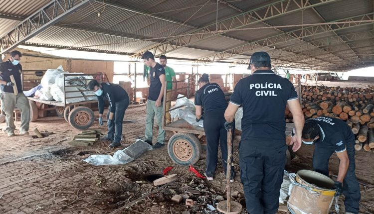 POLÍCIA CIVIL DO MARANHÃO INCINERA 1,5 TONELADAS DE DROGAS QUE FORAM APREENDIDAS NO ANO DE 2023