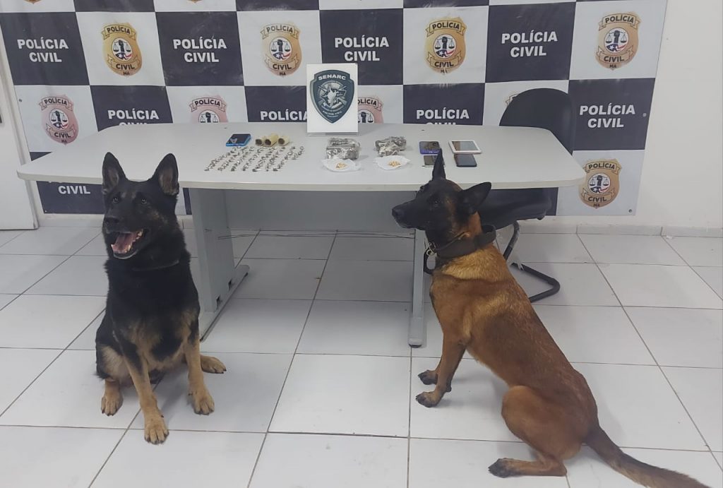 POLÍCIA CIVIL DEFLAGRA OPERAÇÃO DE COMBATE AO TRÁFICO DE DROGAS E PRENDE SETE PESSOAS EM SÃO LUÍS E REGIÃO METROPOLITANA