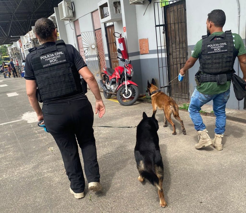 POLÍCIA CIVIL REALIZA AÇÃO DE REPRESSÃO AO TRÁFICO DE DROGAS EM SÃO LUÍS