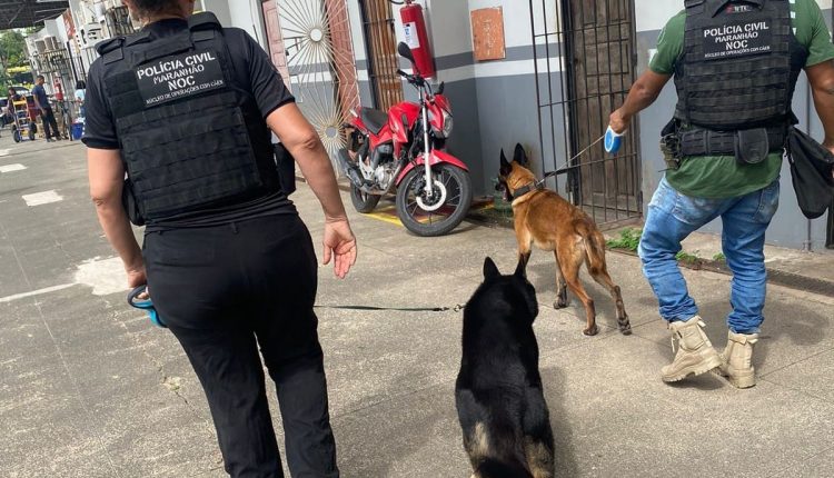POLÍCIA CIVIL REALIZA AÇÃO DE REPRESSÃO AO TRÁFICO DE DROGAS EM SÃO LUÍS
