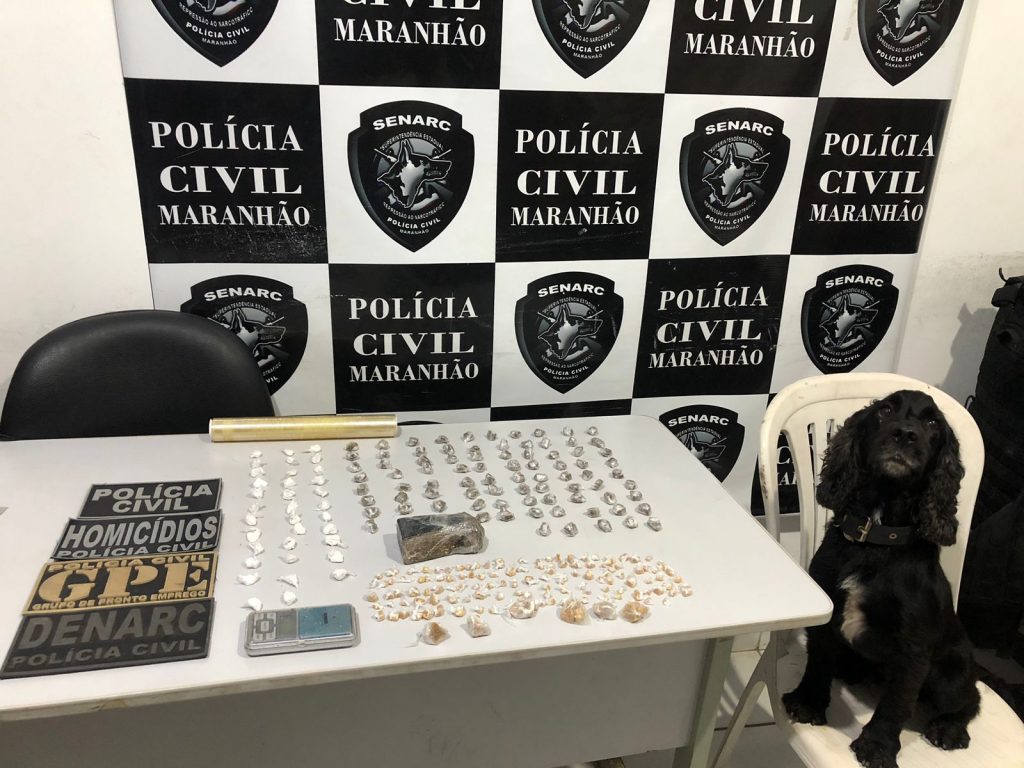 OPERAÇÃO DA POLÍCIA CIVIL APREENDE DROGAS E PRENDE UMA PESSOA POR TRÁFICO DE DROGAS EM TIMON