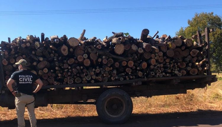 OPERAÇÃO PROTETORES DO BIOMAS: POLÍCIA CIVIL APREENDE CAMINHÃO CARREGADO COM MADEIRA NATIVA DO PARQUE ESTADUAL DO MIRADOR
