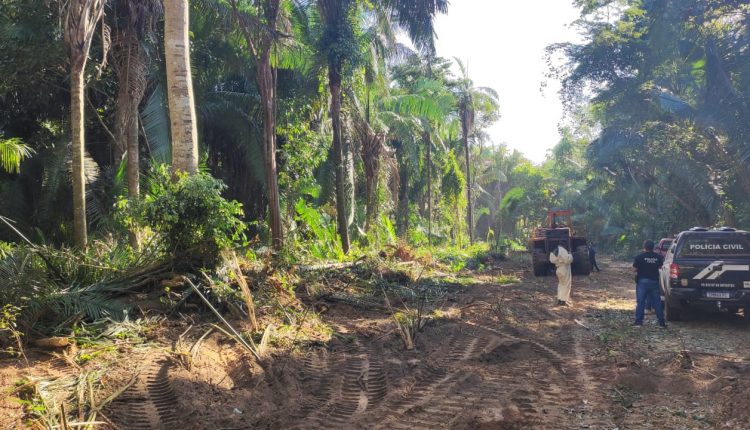 OPERAÇÃO PROTETORES DOS BIOMAS: QUATRO PESSOAS SÃO PRESAS POR DESMATAMENTO DE ÁREA DE PROTEÇÃO PERMANENTE EM GOVERNADOR EDSON LOBÃO