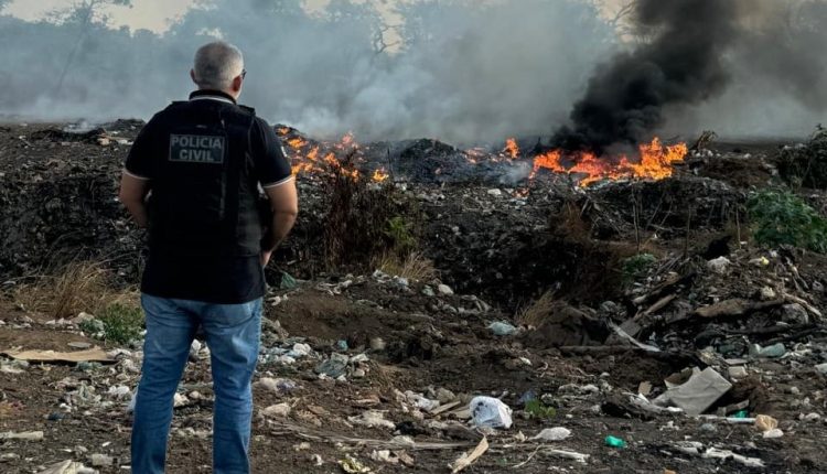 QUATRO PESSOAS SÃO CONDUZIDAS À DELEGACIA POR CRIME AMBIENTAL EM SÃO DOMINGOS DO AZEITÃO
