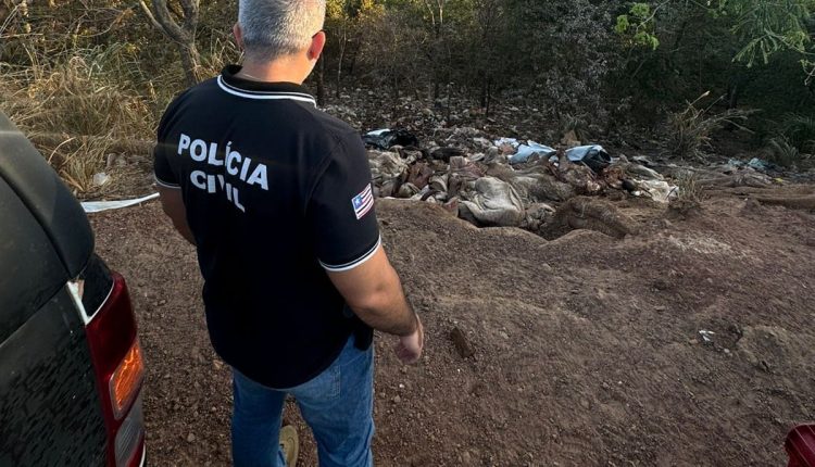 POLÍCIA CIVIL IDENTIFICA PONTO DE DESCARTE IRREGULAR DE CARCAÇAS DE ANIMAIS NA ÁREA DO PARQUE ESTADUAL DO MIRADOR