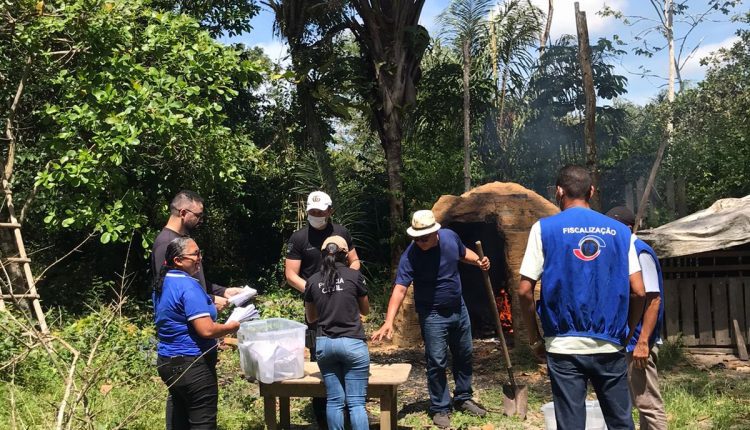 COMBATE AO NARCOTRÁFICO: CERCA DE 20KG DE ENTORPECENTES APREENDIDOS NOS ÚLTIMOS MESES EM CARUTAPERA SÃO INCINERADOS PELA POLÍCIA CIVIL
