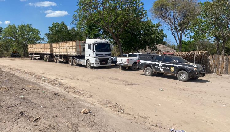 OPERAÇÃO PROTETOR DOS BIOMAS: POLÍCIA CIVIL APREENDE DUAS CARRETAS CARREGADAS DE MADEIRAS DE EUCALIPTO, EM SANTA QUITÉRIA DO MARANHÃO