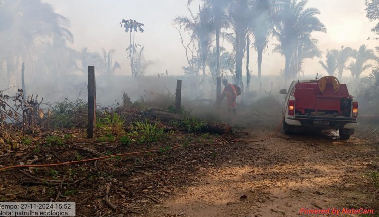 OPERAÇÃO PROTETOR DO BIOMA:  POLÍCIA CIVIL PRENDE SUSPEITOS POR CRIME AMBIENTAL  EM VILA NOVA DOS MARTÍRIOS