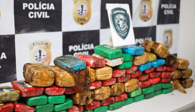 CERCA DE UMA TONELADA DE ENTORPECENTES FOI APREENDIDA PELA POLÍCIA CIVIL NO MARANHÃO NO ANO PASSADO, RESULTANDO EM MAIS DE R$ 41,5 MILHÕES EM PREJUÍZO PARA ORGANIZAÇÕES CRIMINOSAS
