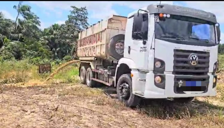 MOTORISTA E EMPRESÁRIO SÃO PRESOS POR CRIME AMBIENTAL NA ZONA RURAL DE SÃO LUÍS