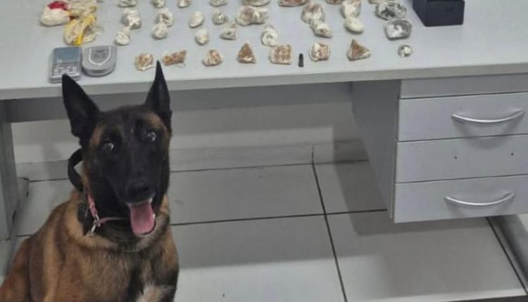 NA CAPITAL, MULHER É PRESA EM FLAGRANTE POR TRÁFICO DE DROGAS