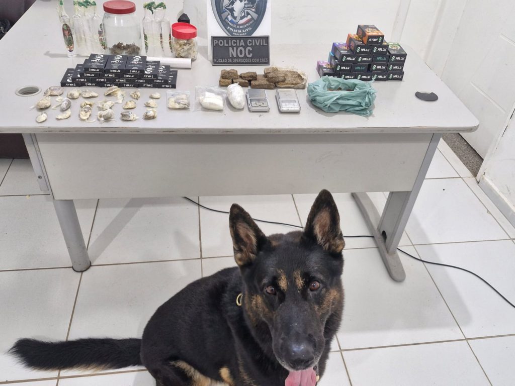 POLÍCIA CIVIL CUMPRE TRÊS MANDADOS DE BUSCA E APREENSÃO NA CAPITAL; DOIS INDIVÍDUOS FORAM PRESOS POR TRÁFICO DE DROGAS E PORTE ILEGAL DE ARMA DE FOGO