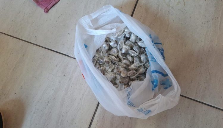 POLÍCIA CIVIL APREENDE DROGAS AVALIADAS EM 60 MIL REAIS EM BALSAS