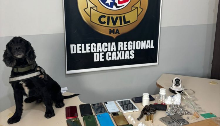 SEIS PESSOAS SÃO PRESAS POR TRÁFICO DE DROGAS E ASSOCIAÇÃO PARA O TRÁFICO DURANTE OPERAÇÃO DA POLÍCIA CIVIL EM CAXIAS
