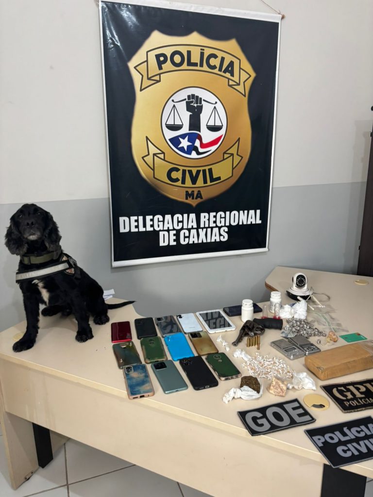 SEIS PESSOAS SÃO PRESAS POR TRÁFICO DE DROGAS E ASSOCIAÇÃO PARA O TRÁFICO DURANTE OPERAÇÃO DA POLÍCIA CIVIL EM CAXIAS