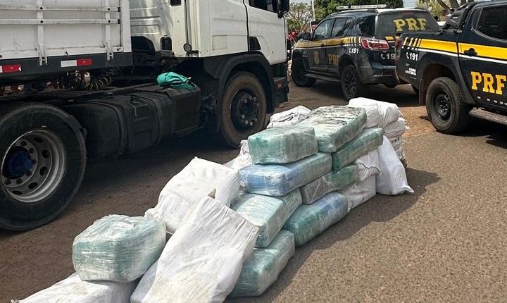 OPERAÇÃO POLICIAL APREENDE QUASE 1 TONELADA DE SUPER MACONHA EM BOM JESUS DAS SELVAS