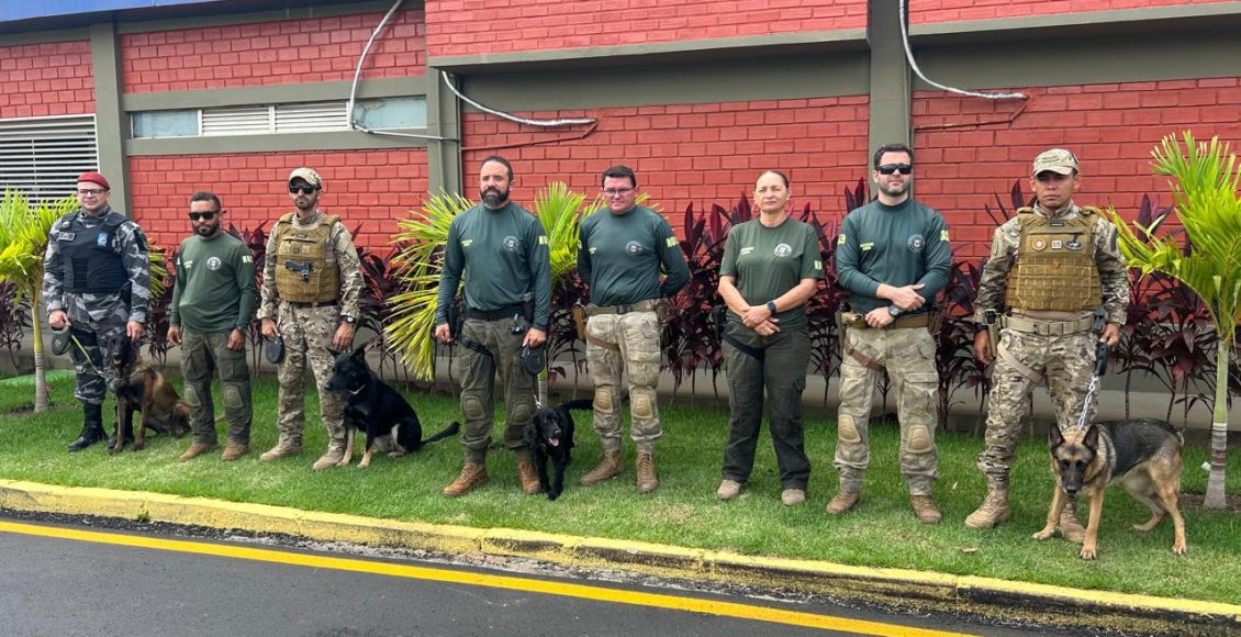 WhatsApp Image 2025-11-17 at 11.56.49 (2)