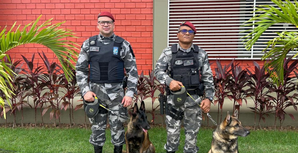 WhatsApp Image 2025-11-17 at 11.56.49 (5)