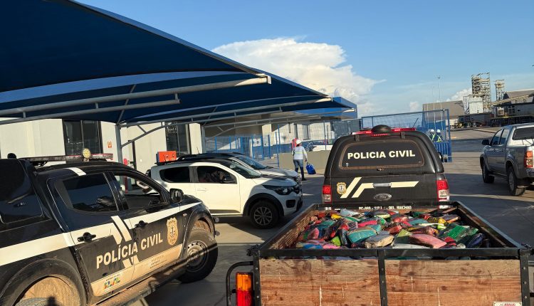 MAIS DE 1 TONELADA DE DROGAS É INCINERADA PELA POLÍCIA CIVIL EM BALSAS