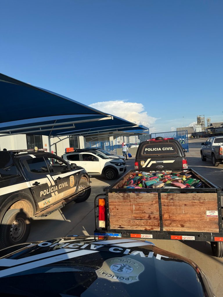 MAIS DE 1 TONELADA DE DROGAS É INCINERADA PELA POLÍCIA CIVIL EM BALSAS