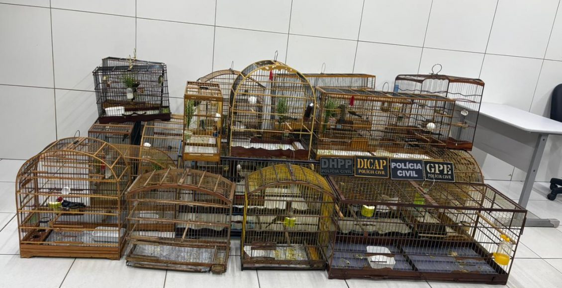 WhatsApp Image 2026-04-09 at 11.26.55 (2)