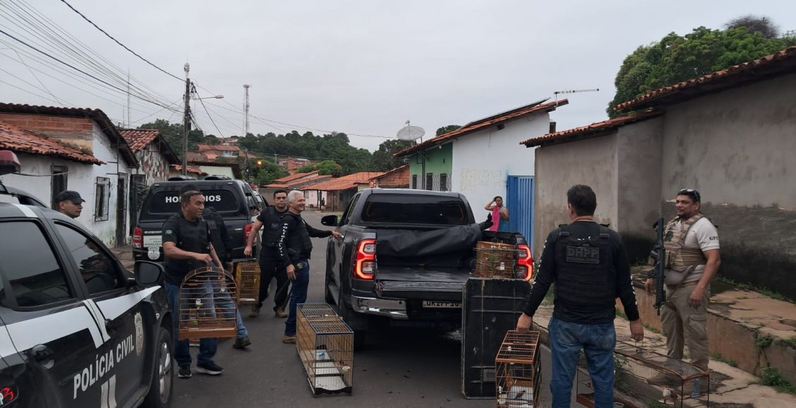 WhatsApp Image 2026-04-09 at 11.26.56